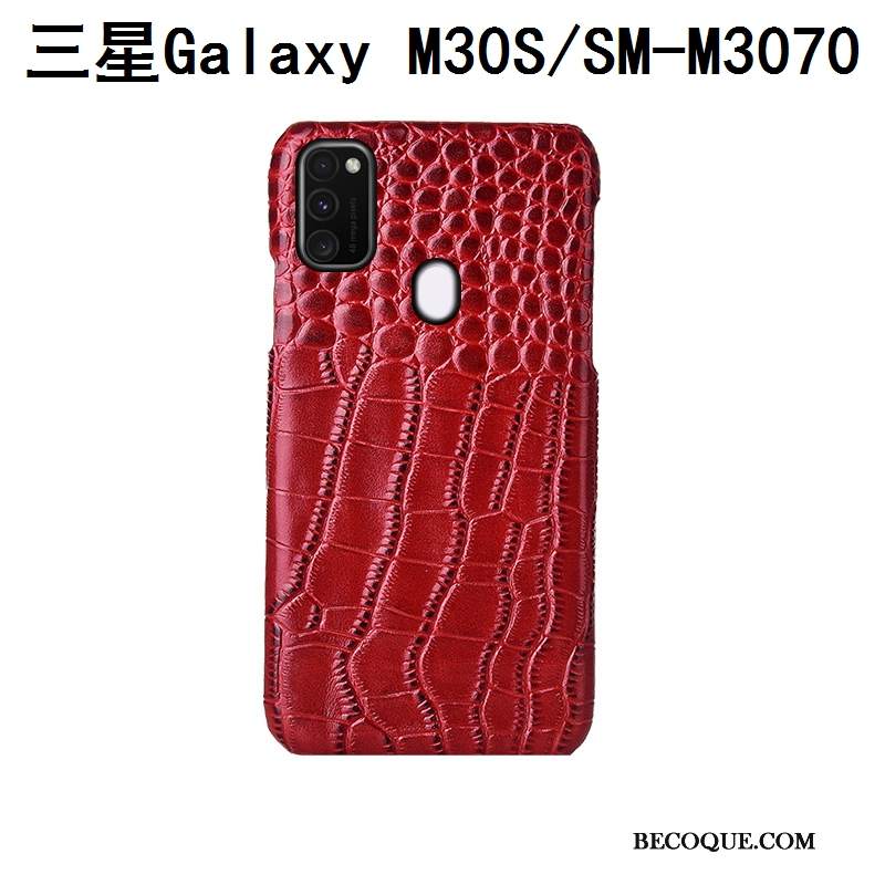 Futerał Samsung Galaxy M30s Skóra Tylna Pokrywana Telefon, Etui Samsung Galaxy M30s Ochraniacz Dostosowane Ptak