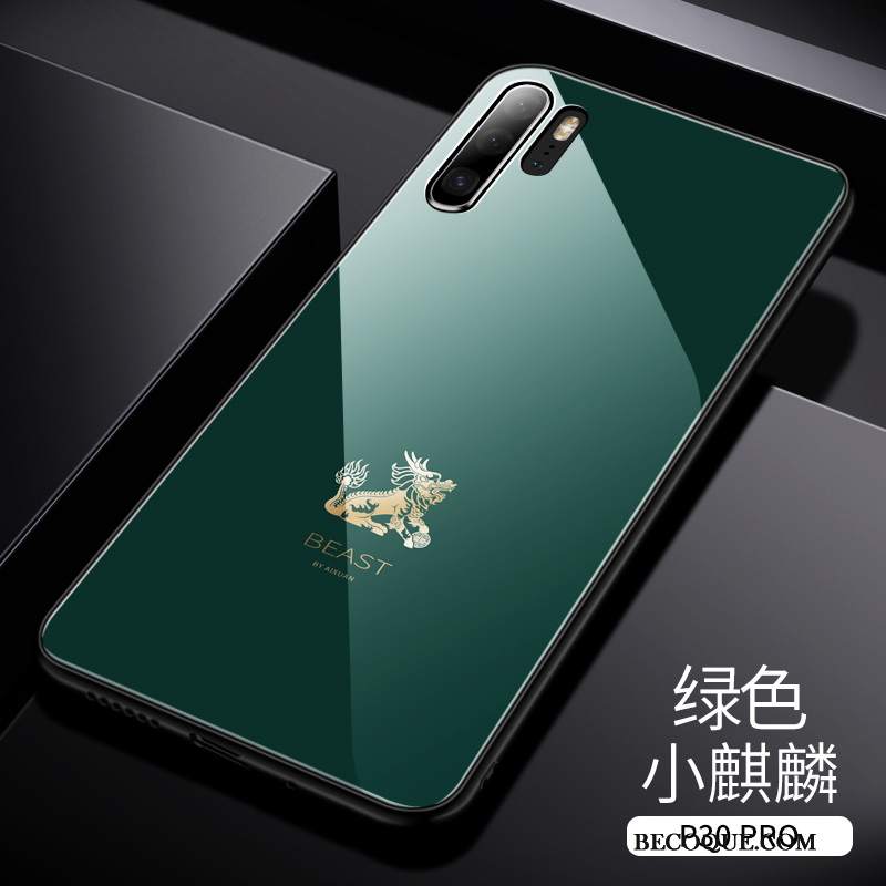 Futerał Huawei P30 Pro Torby Modna Markana Telefon, Etui Huawei P30 Pro Silikonowe Lustro Osobowość