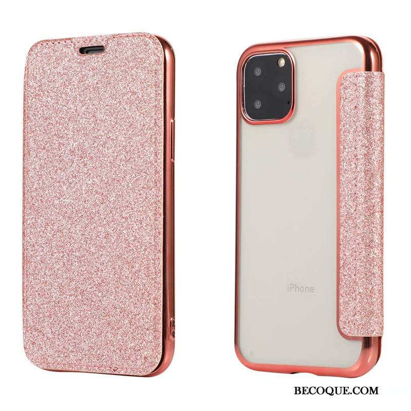 Futerał iPhone 11 Pro Ochraniacz Granica Proszek, Etui iPhone 11 Pro Pokrowce Karta Poszycie