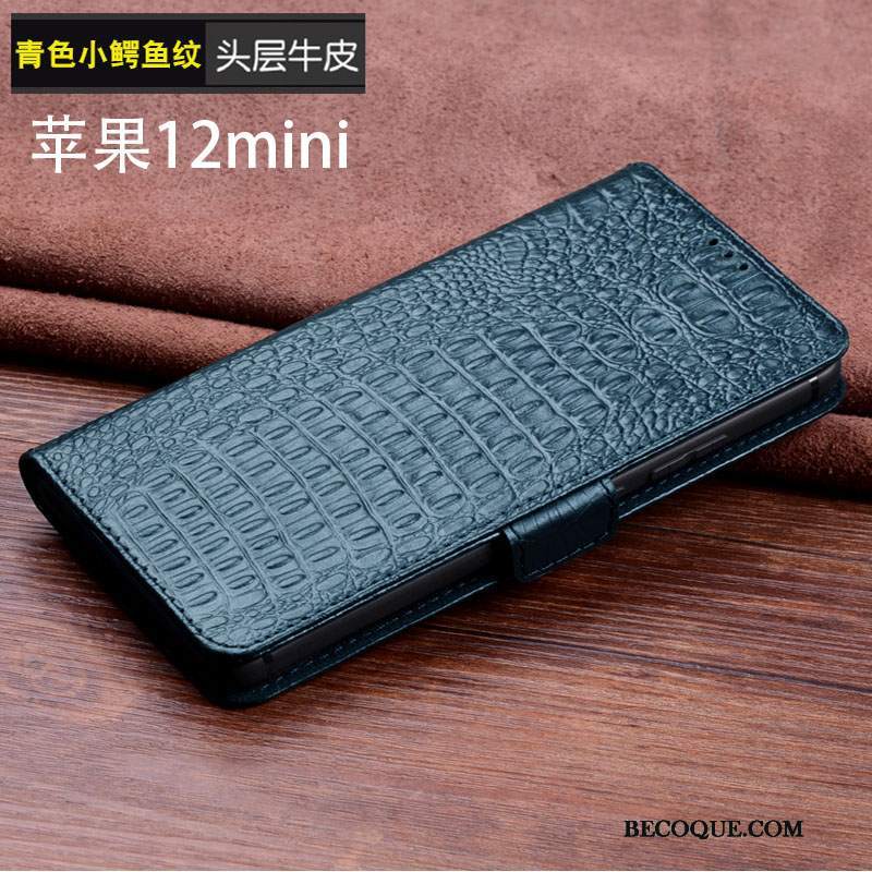 Futerał iPhone 12 Mini Luksusowy Ciemno Niebieski Osobowość, Etui iPhone 12 Mini Ochraniacz Anti-fallna Telefon