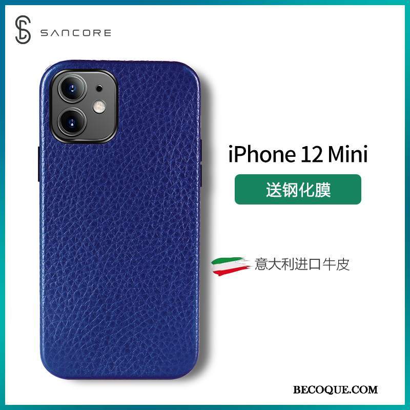 Futerał iPhone 12 Mini Skóra Anti-fall Tendencja, Etui iPhone 12 Mini Ochraniacz Na Telefon Czerwony Netto