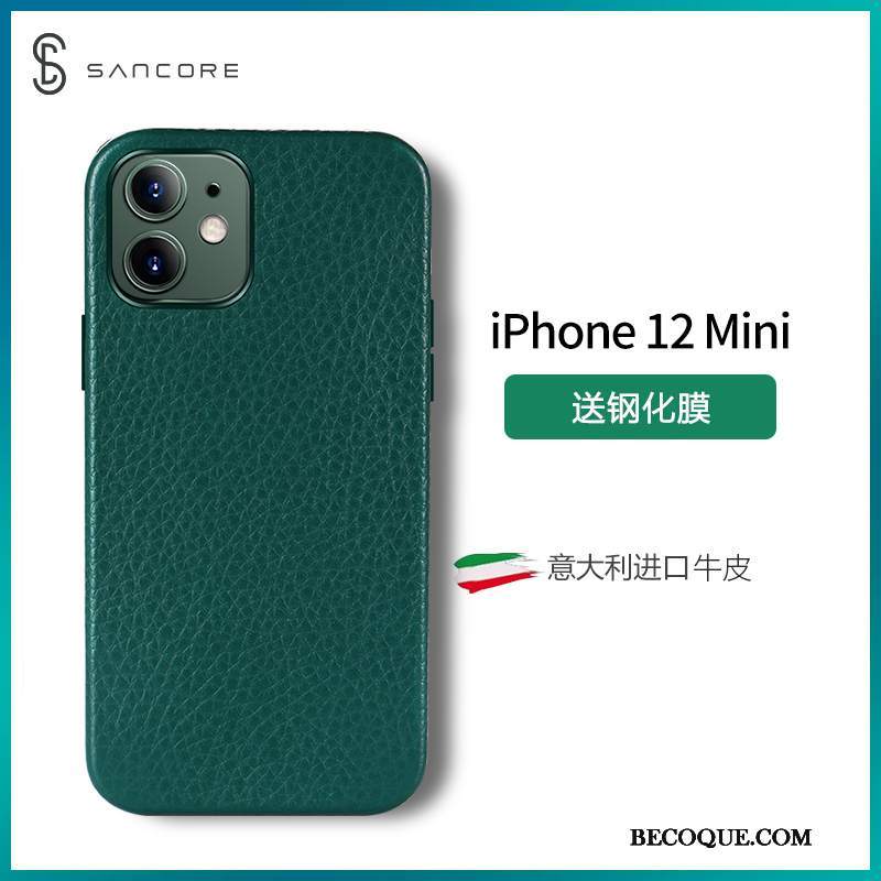 Futerał iPhone 12 Mini Skóra Anti-fall Tendencja, Etui iPhone 12 Mini Ochraniacz Na Telefon Czerwony Netto