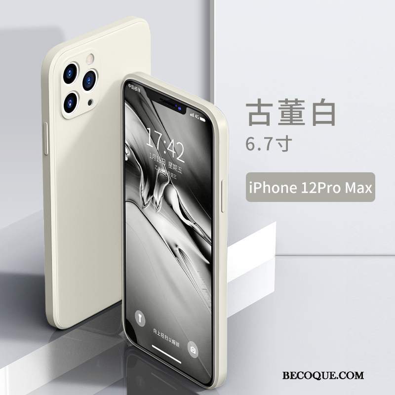 Futerał iPhone 12 Pro Max Silikonowe Nowy Anti-fall, Etui iPhone 12 Pro Max Kreatywne Osobowość Purpurowy