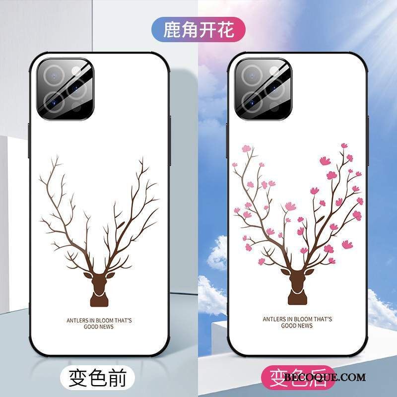Futerał iPhone 12 Pro Torby Kwiaty Nowy, Etui iPhone 12 Pro Silikonowe Anti-fallna Telefon
