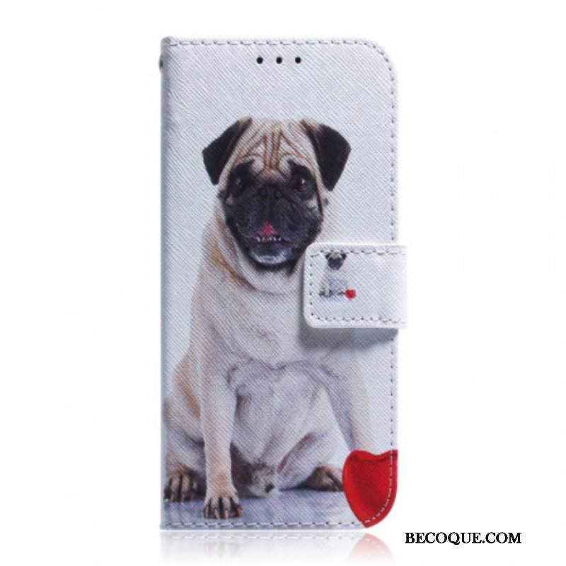 Etui Folio do Google Pixel 6 Mops Pies