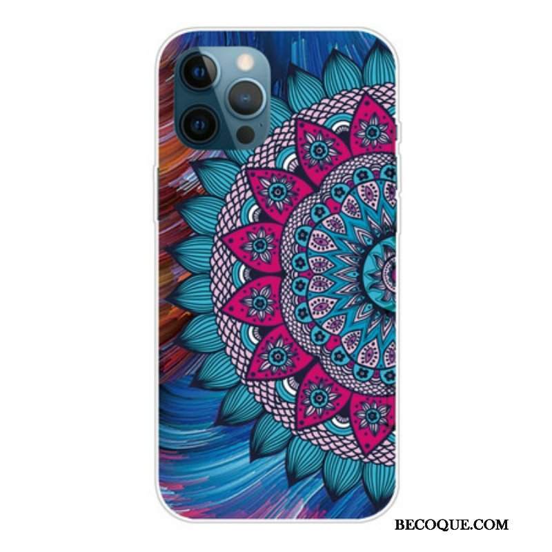 Etui do iPhone 13 Pro Max Kolorowa Mandala