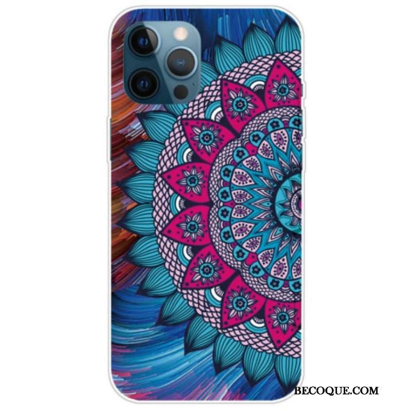 Etui do iPhone 14 Pro Kolorowa Mandala